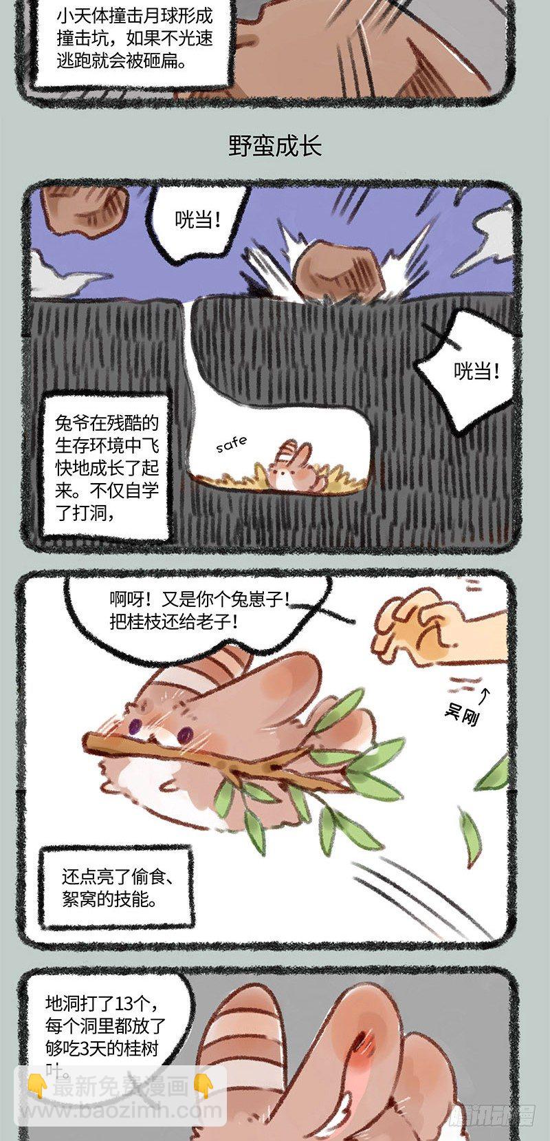小兔兔成长记2