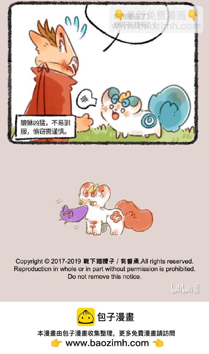 243 众6
