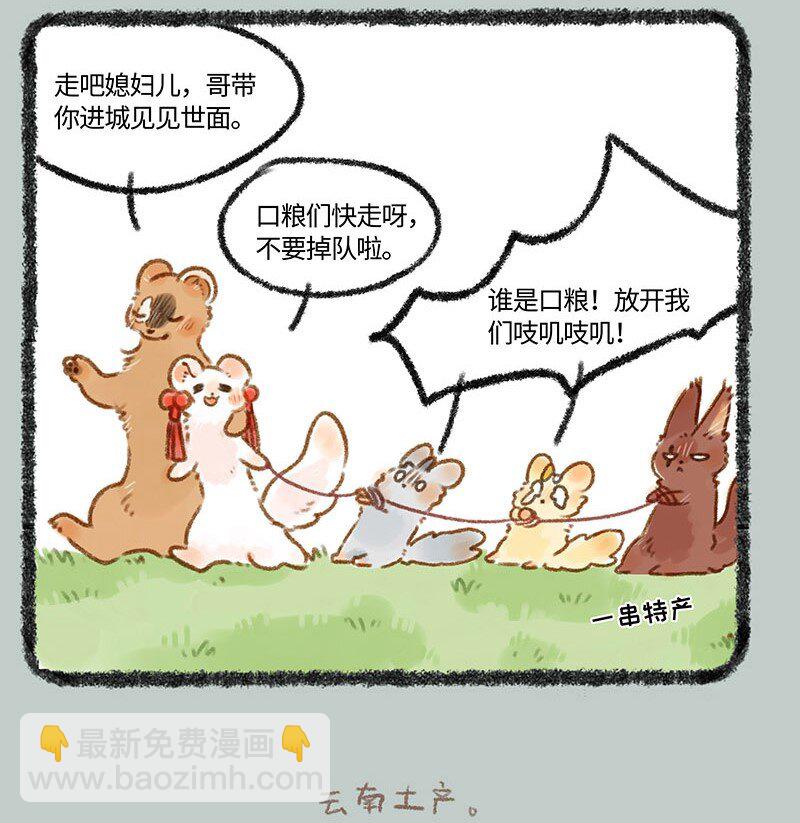 247 警惕黄鼠狼3
