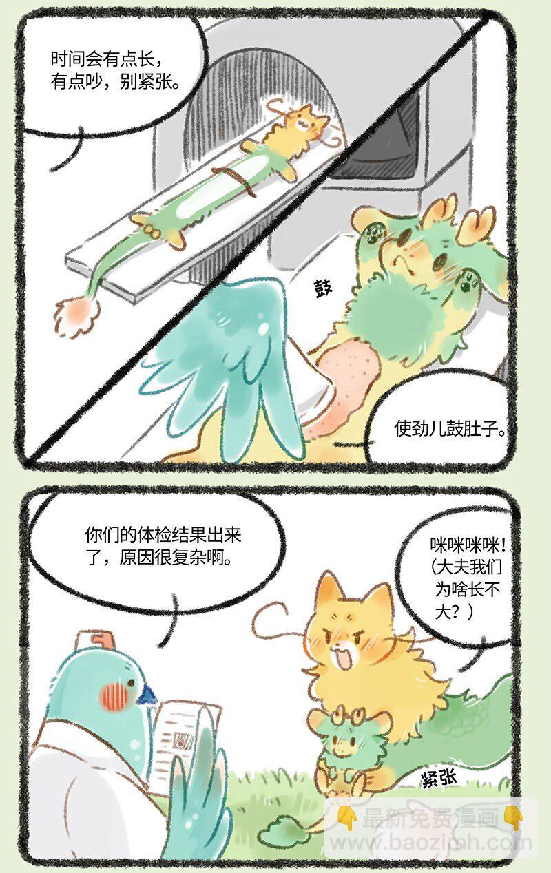 249 强身健体2