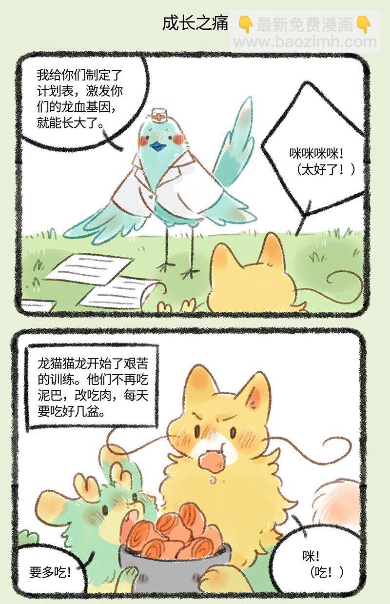 249 强身健体4
