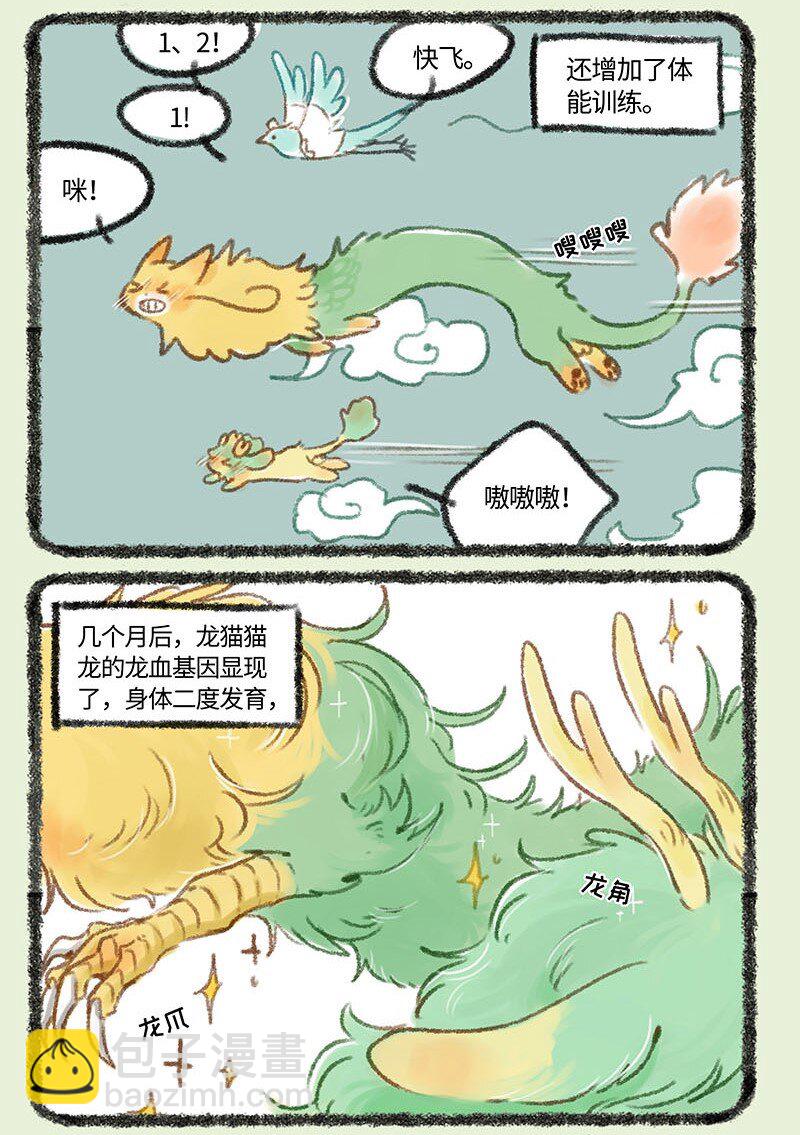 249 强身健体5