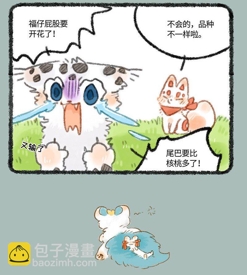 253 尾巴的功能3