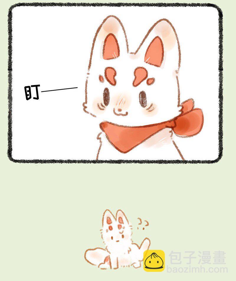 266 福仔也要有蛋蛋3
