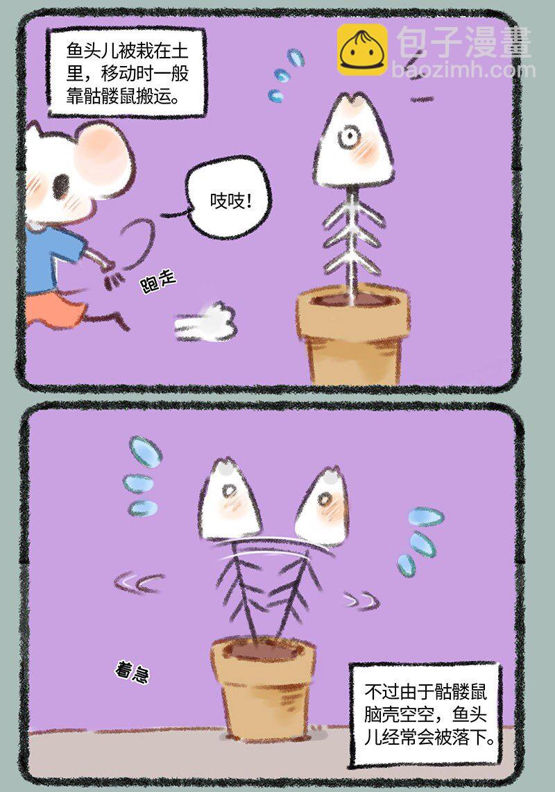 268 骷髅鱼进化2