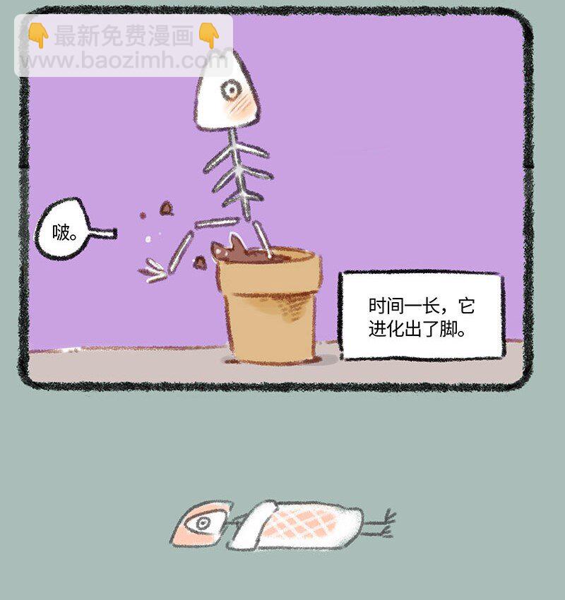 268 骷髅鱼进化3