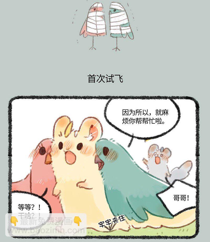 271 比翼鸟合体需谨慎4