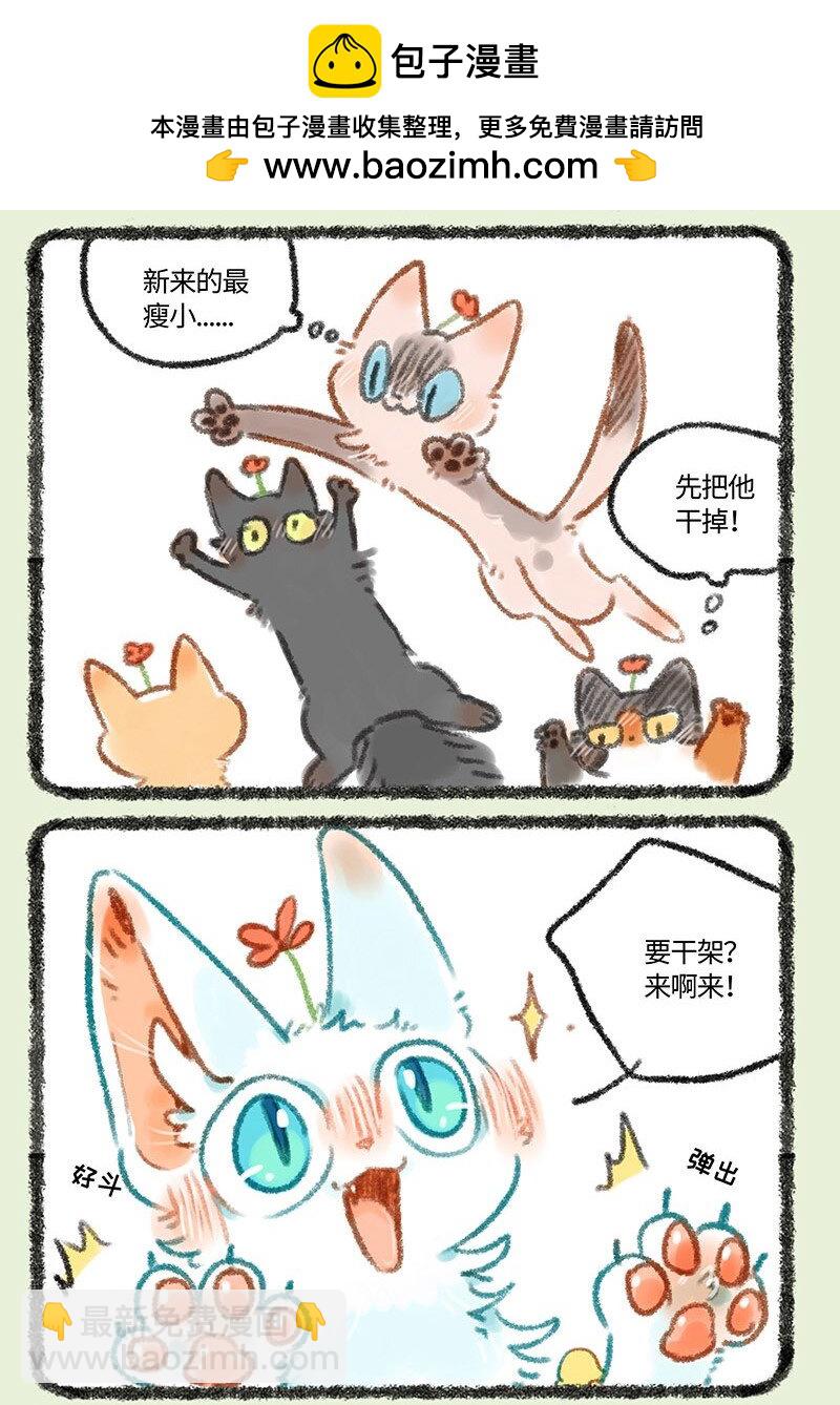 273 新来王者1
