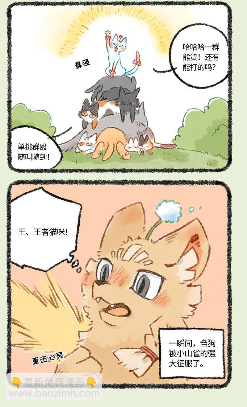 273 新来王者2