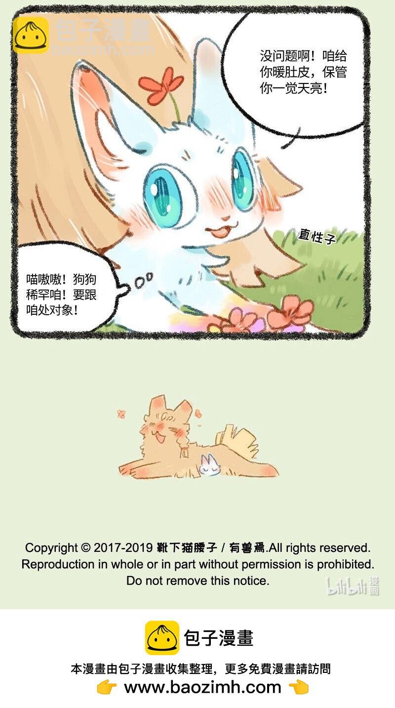 273 新来王者5