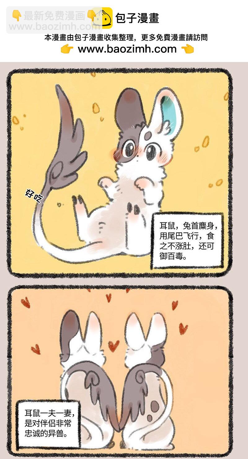 283 耳鼠1