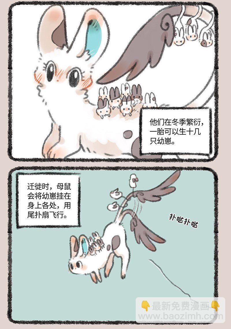 283 耳鼠2