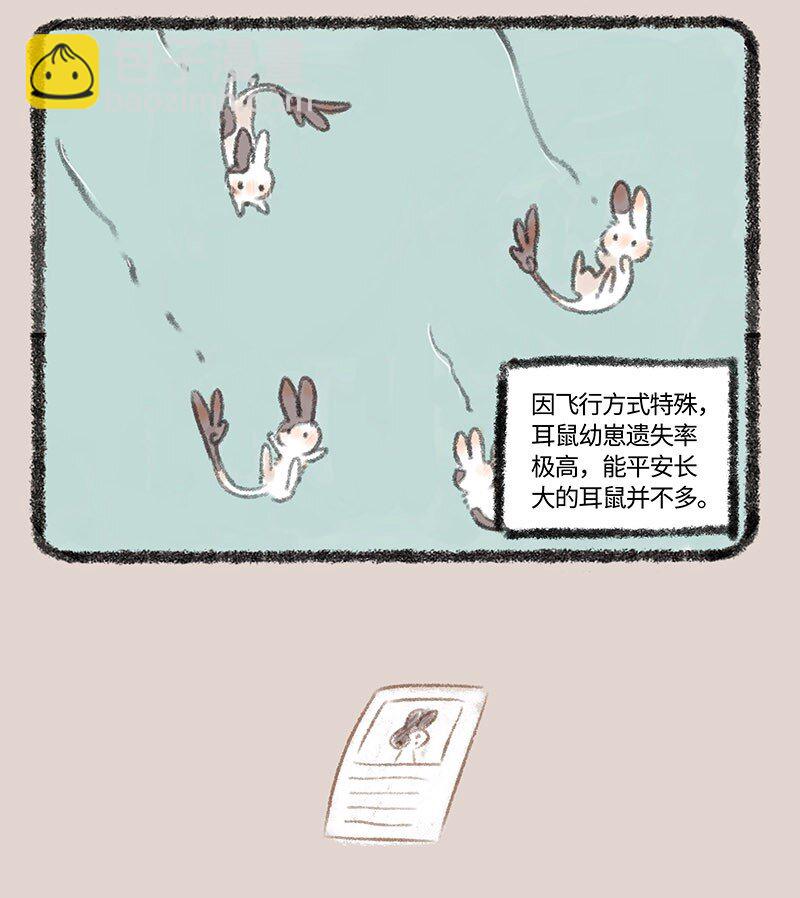283 耳鼠3