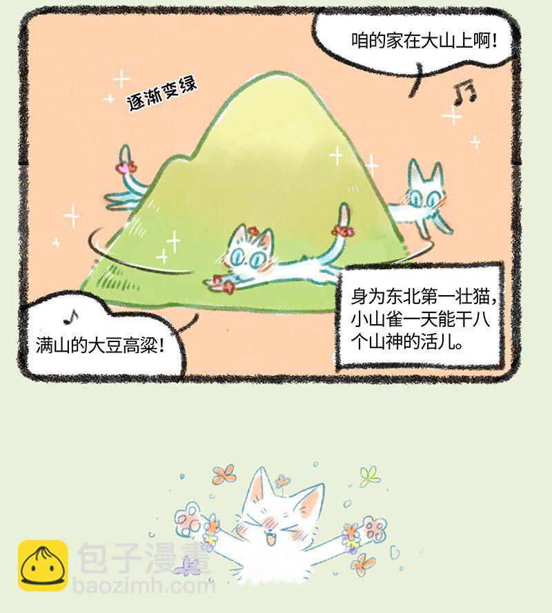 290 小山雀遇到了对手3