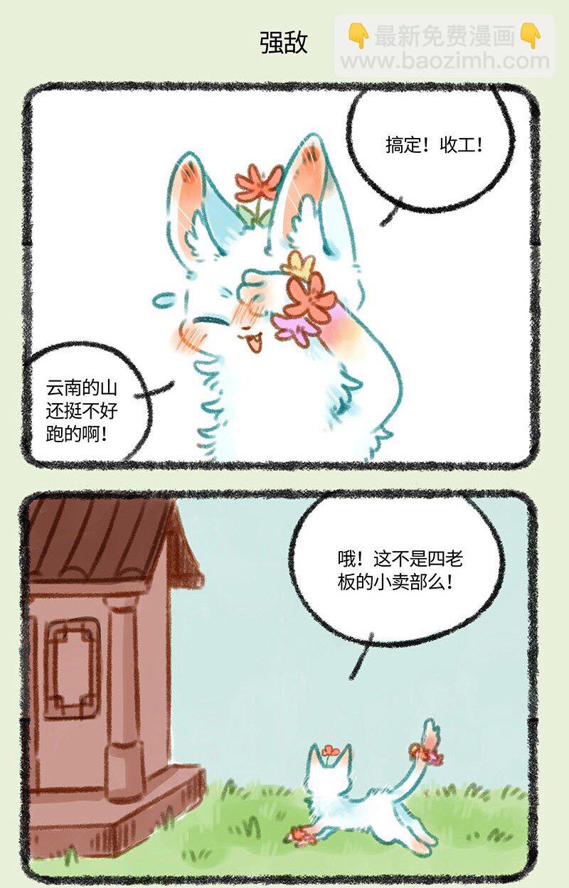 290 小山雀遇到了对手4