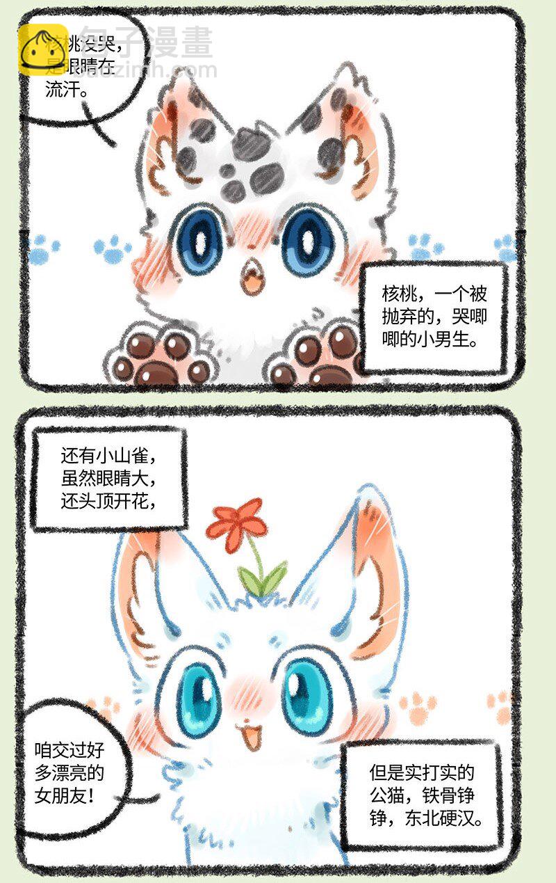 294 他她2