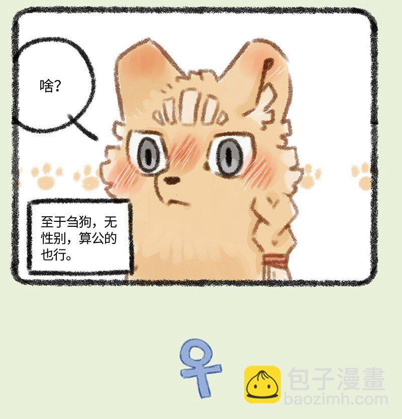 294 他她3