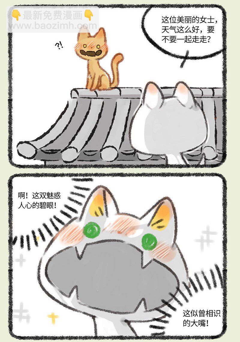 308 新爸爸5