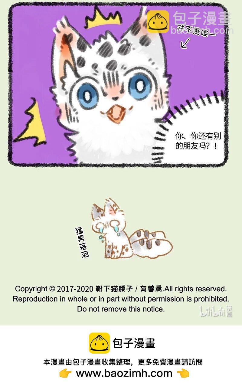 317 2020春日纪事6