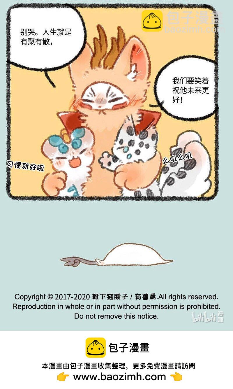 322 长大终离家6