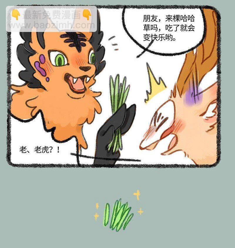 326 向前看3