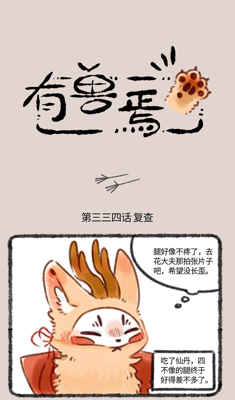 334 花大夫的设定0