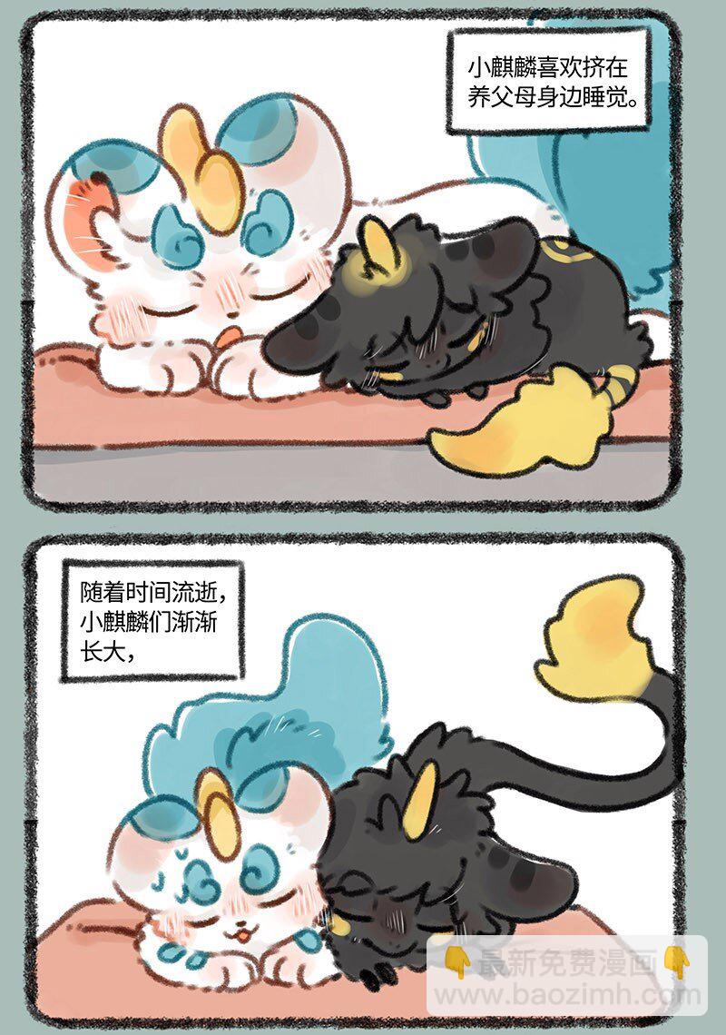 335 小麒麟们长大啦2