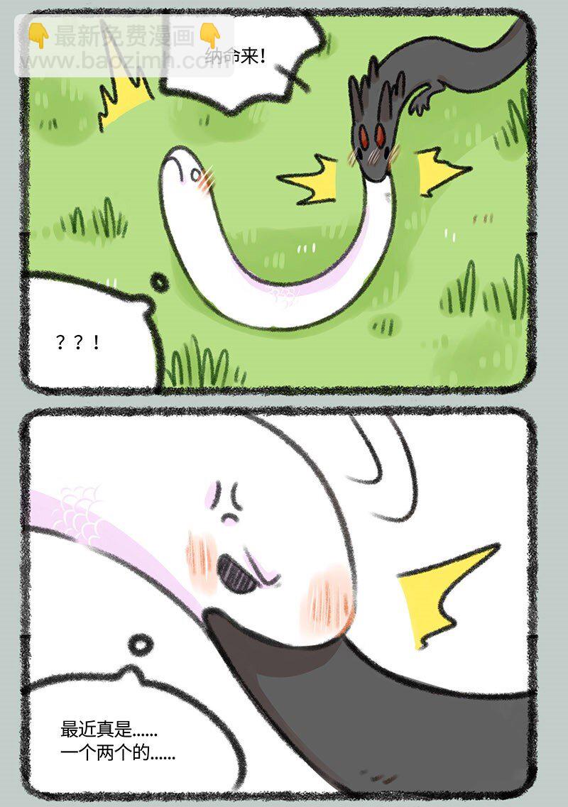 339 小水塘之争2