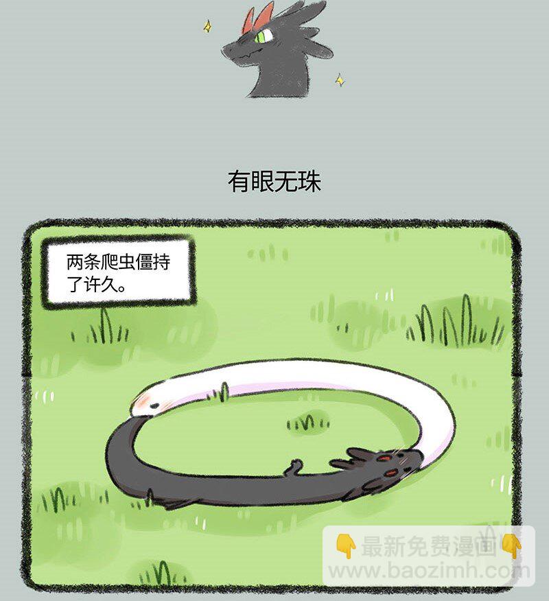 339 小水塘之争4