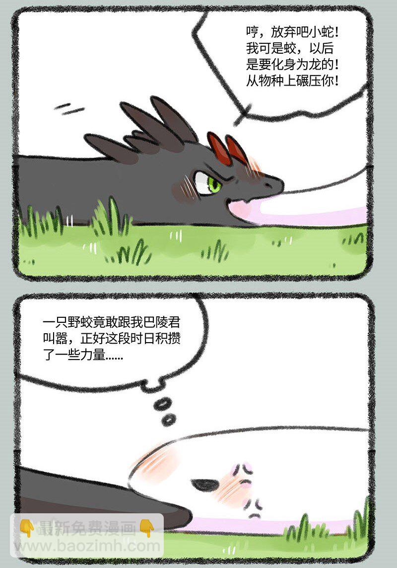 339 小水塘之争5