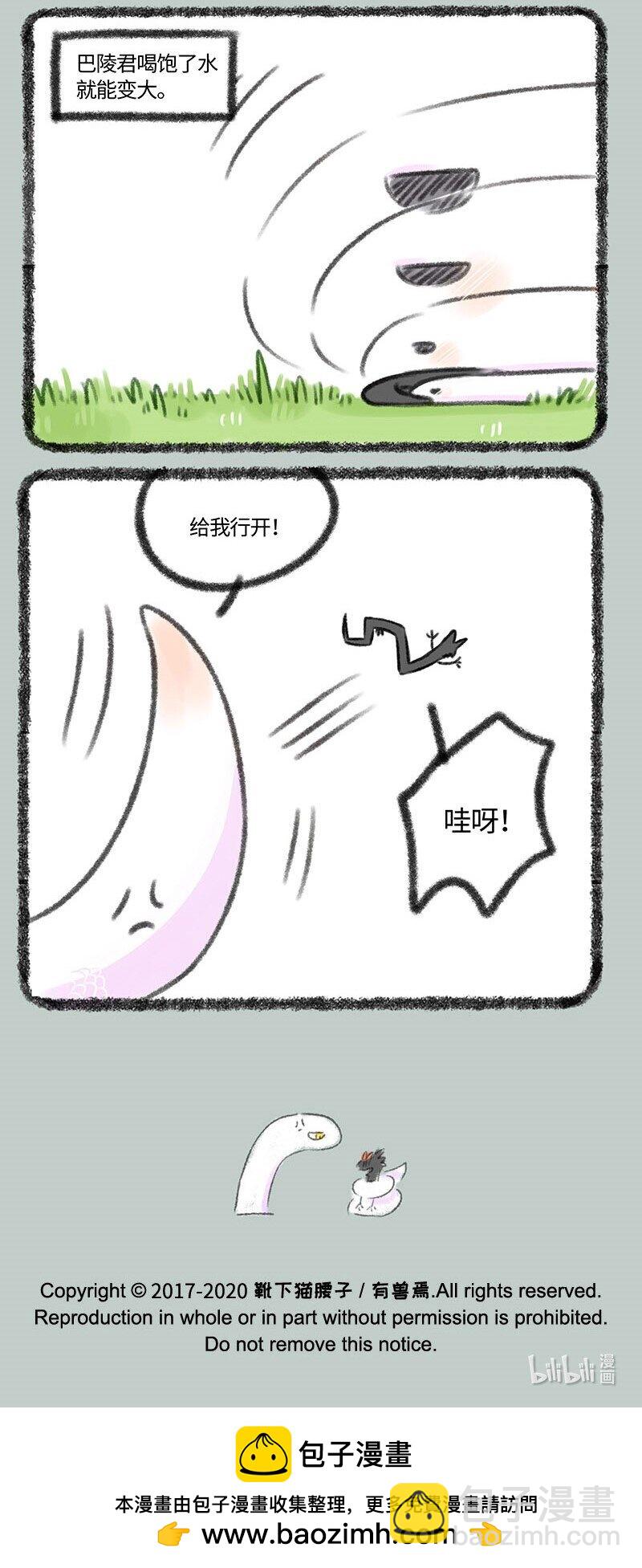339 小水塘之争6