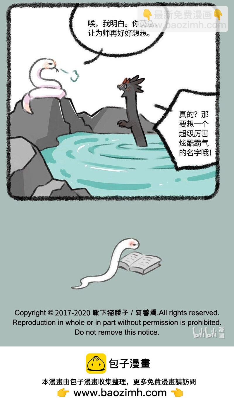 347 给小蛟起名6