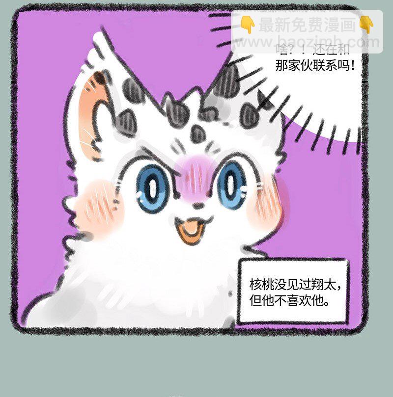 352 核桃的危机感3