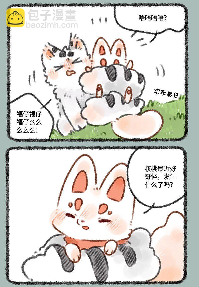 352 核桃的危机感5