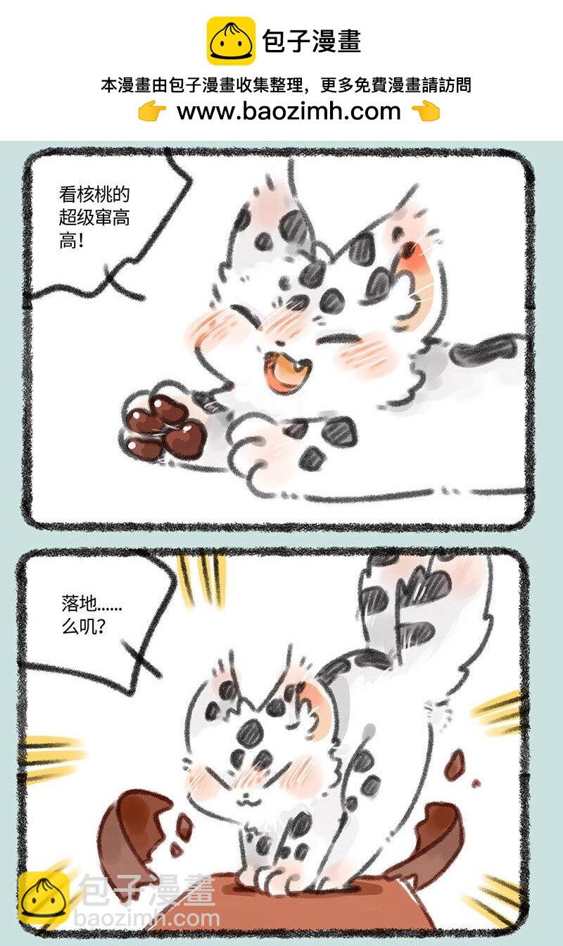 358 伪造1