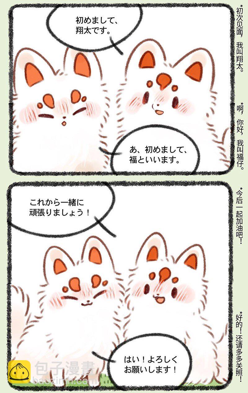 359 稻荷狐狸入职之路5