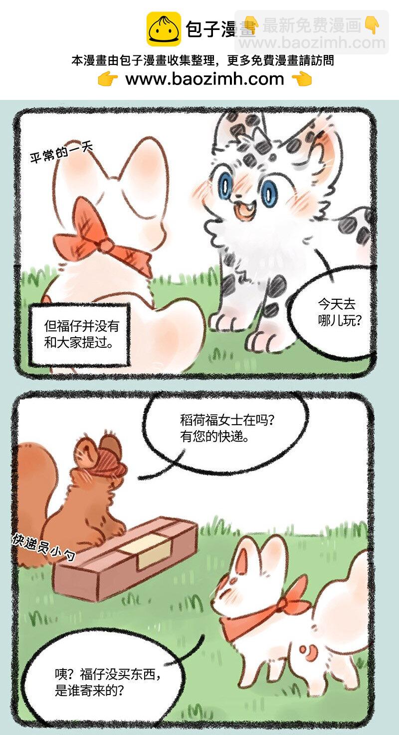 373 福仔的生日1