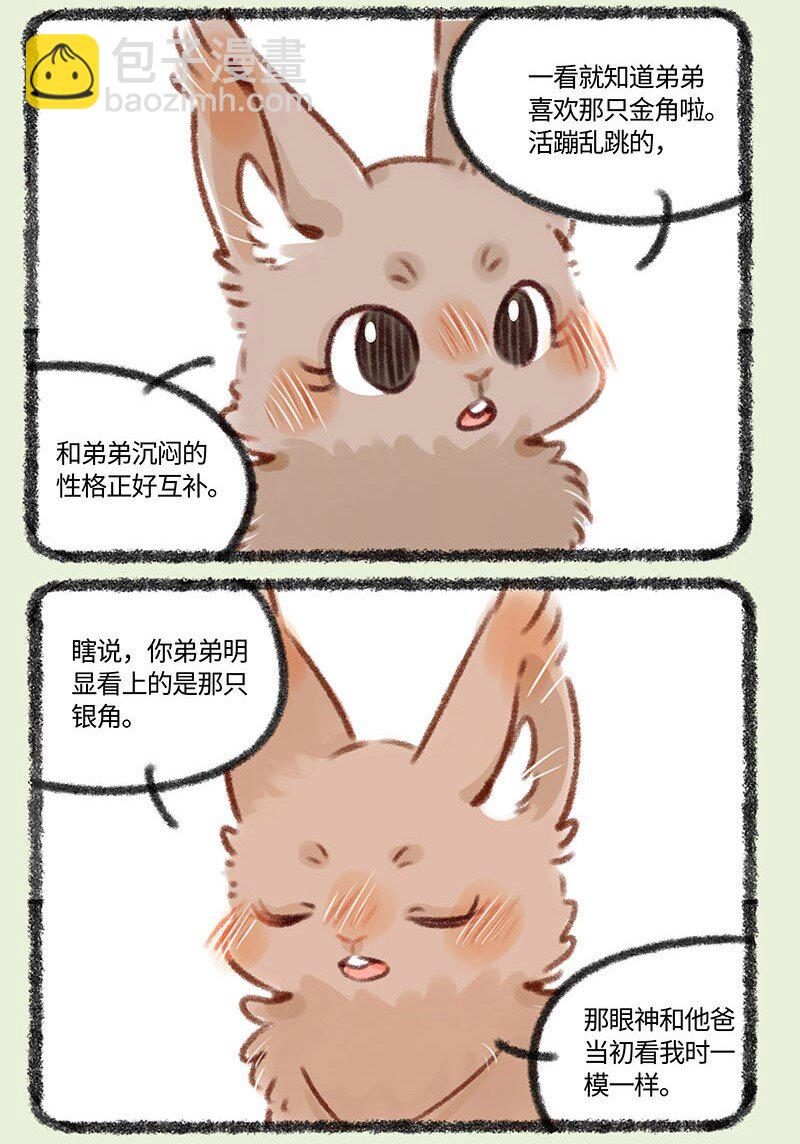 374 相亲5