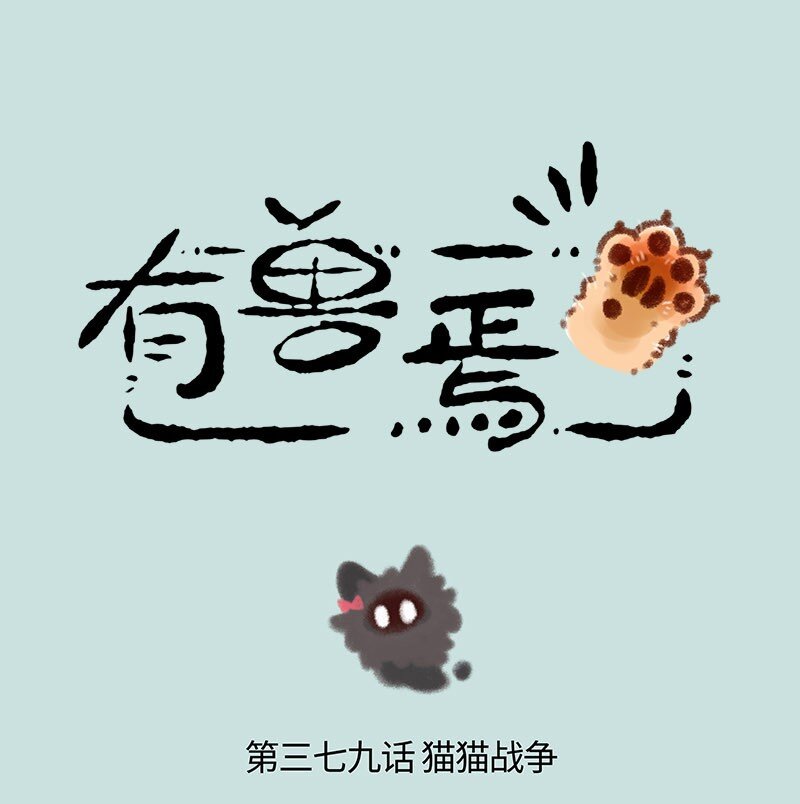 379 猫猫战争0