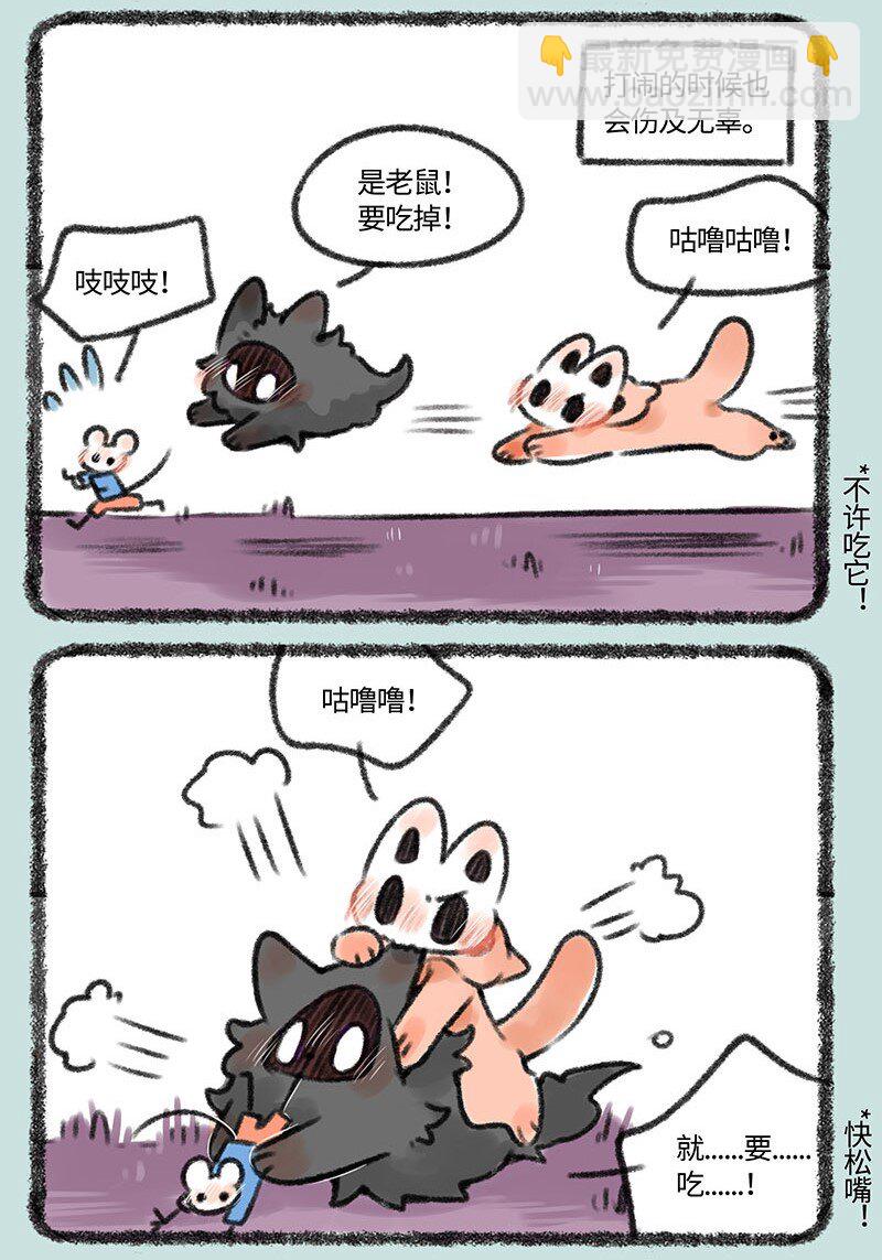 379 猫猫战争2
