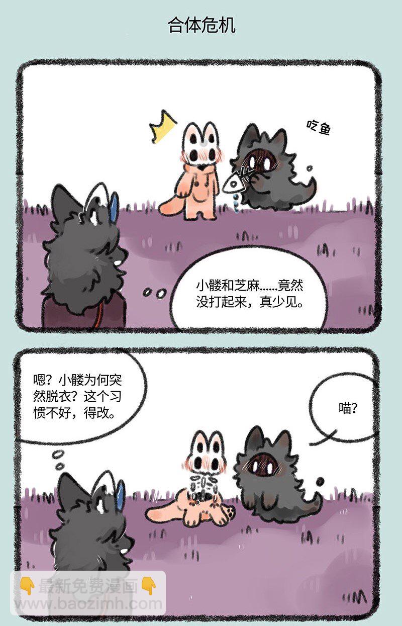 379 猫猫战争4