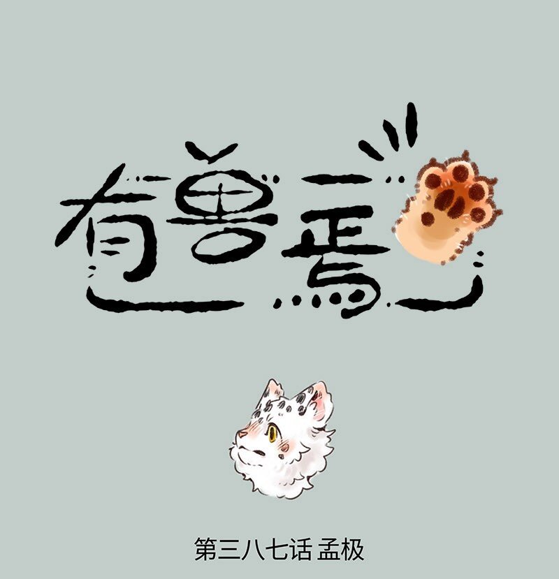 387 核桃要走了0