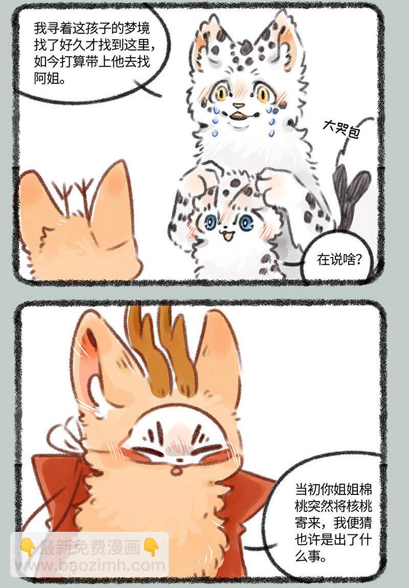 387 核桃要走了2