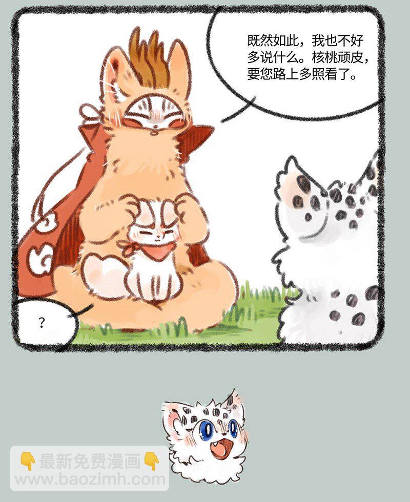 387 核桃要走了3