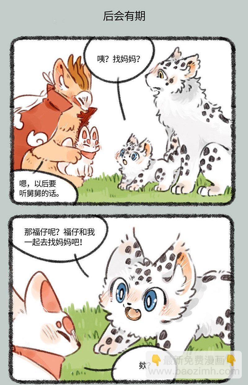 387 核桃要走了4