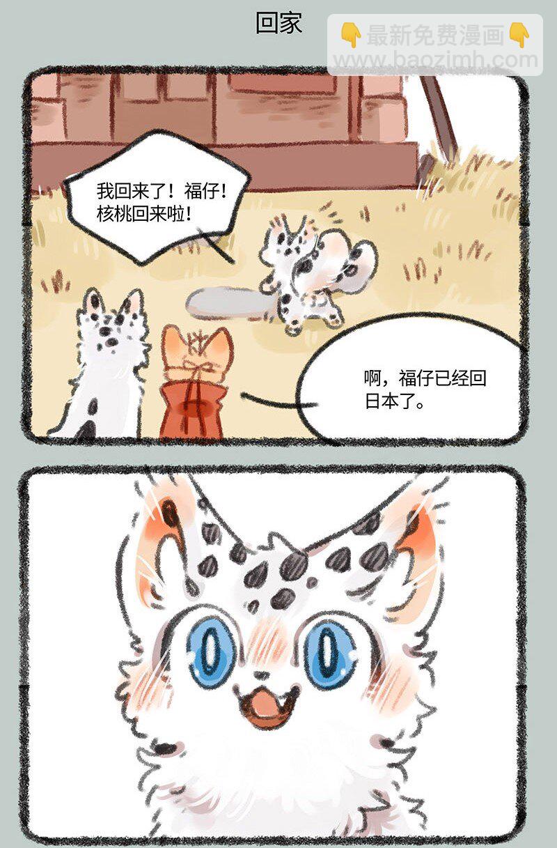 401 四不像身份4