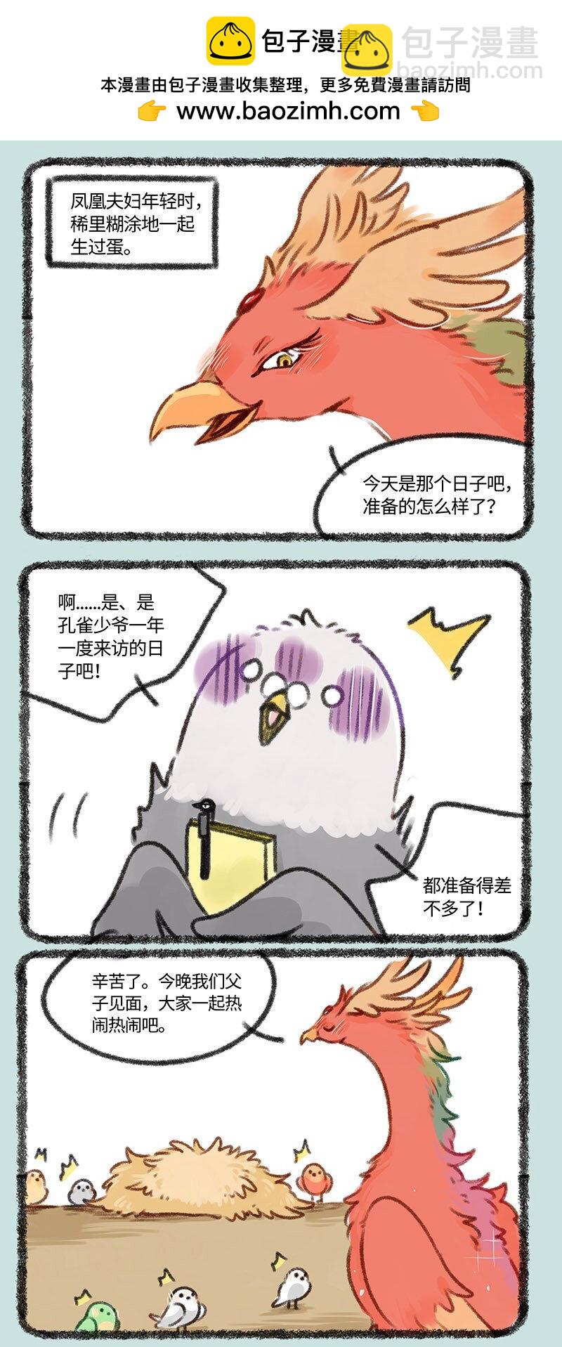 402 孔雀来访1