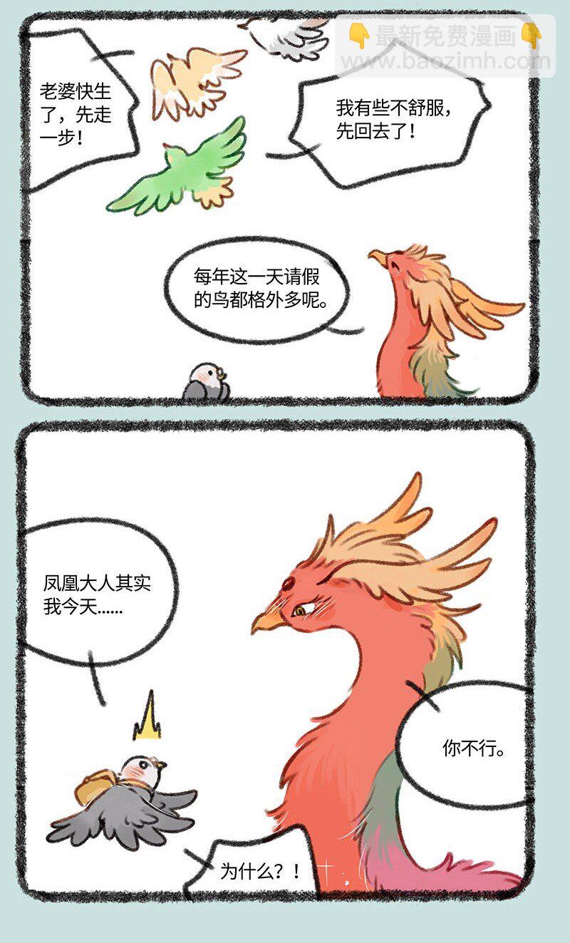 402 孔雀来访2