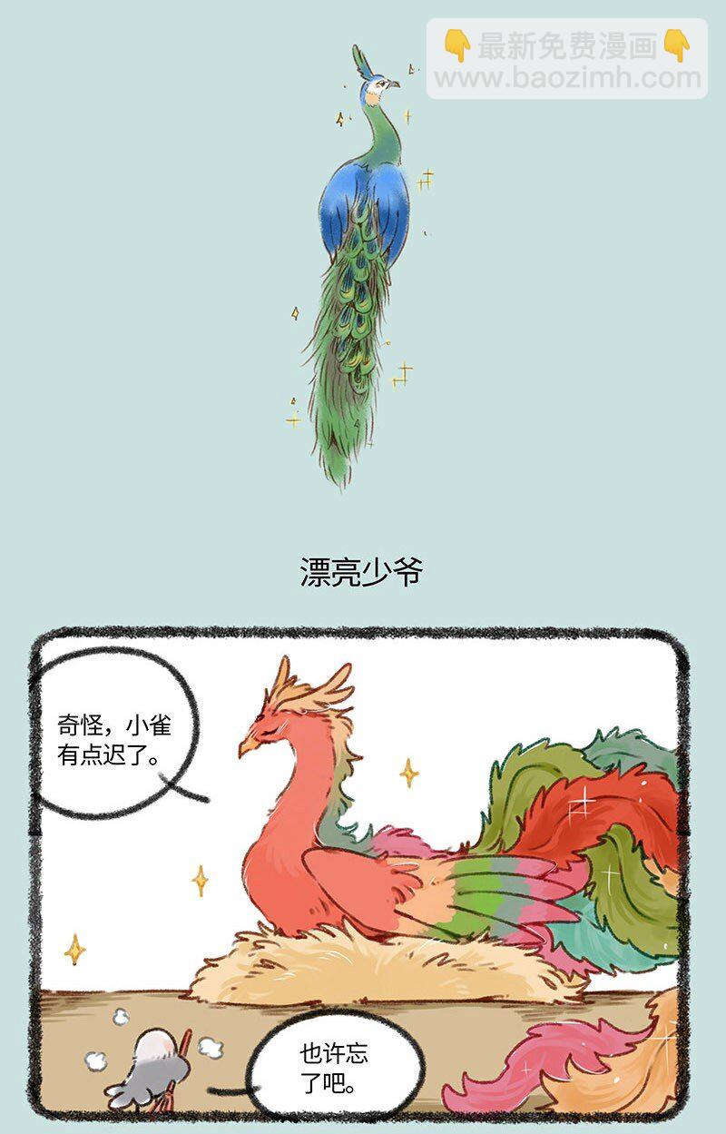 402 孔雀来访3