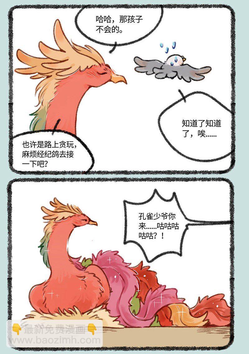 402 孔雀来访4